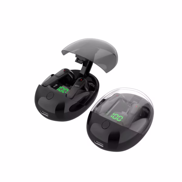 Pro One Earbuds